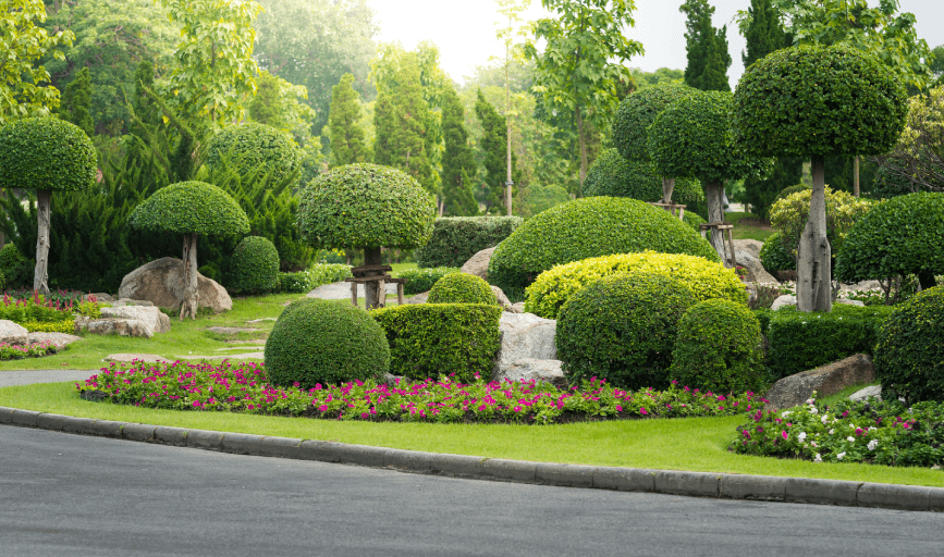 Landscaping